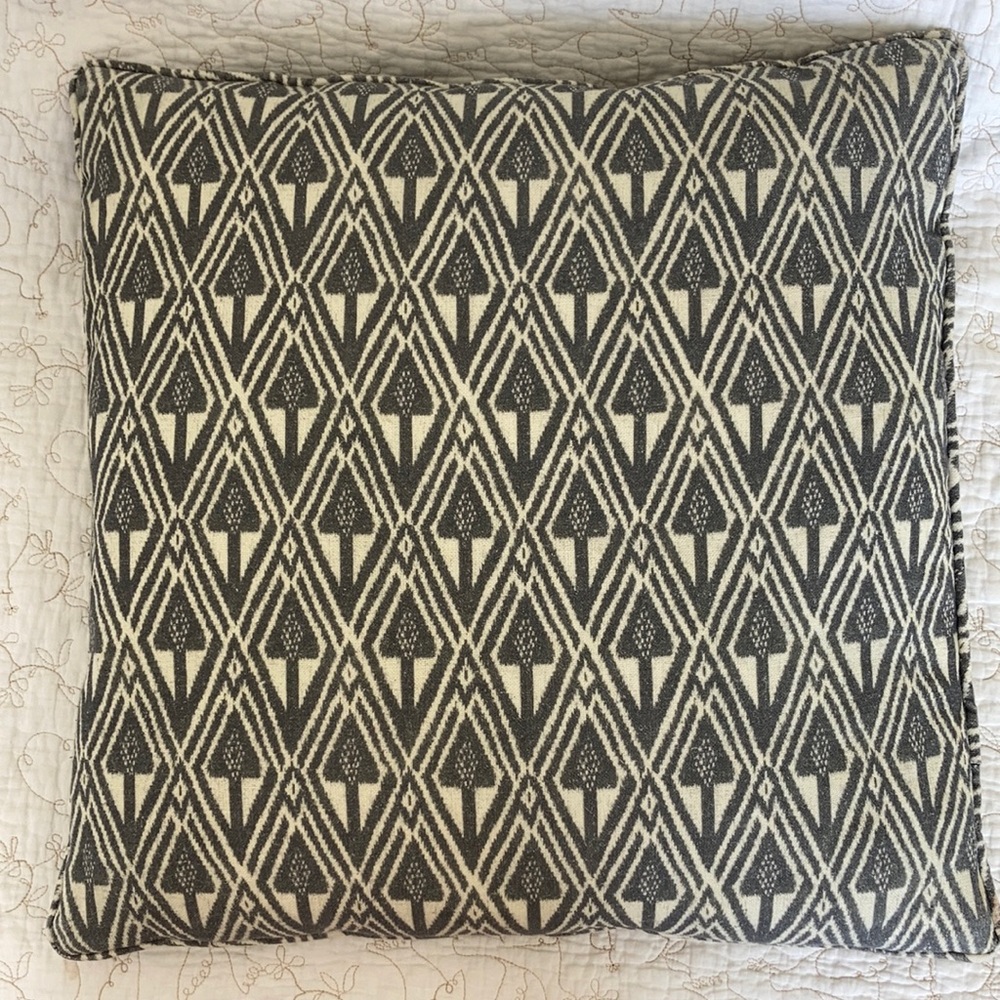 Pair of 20x20 Pottery Barn Pillows